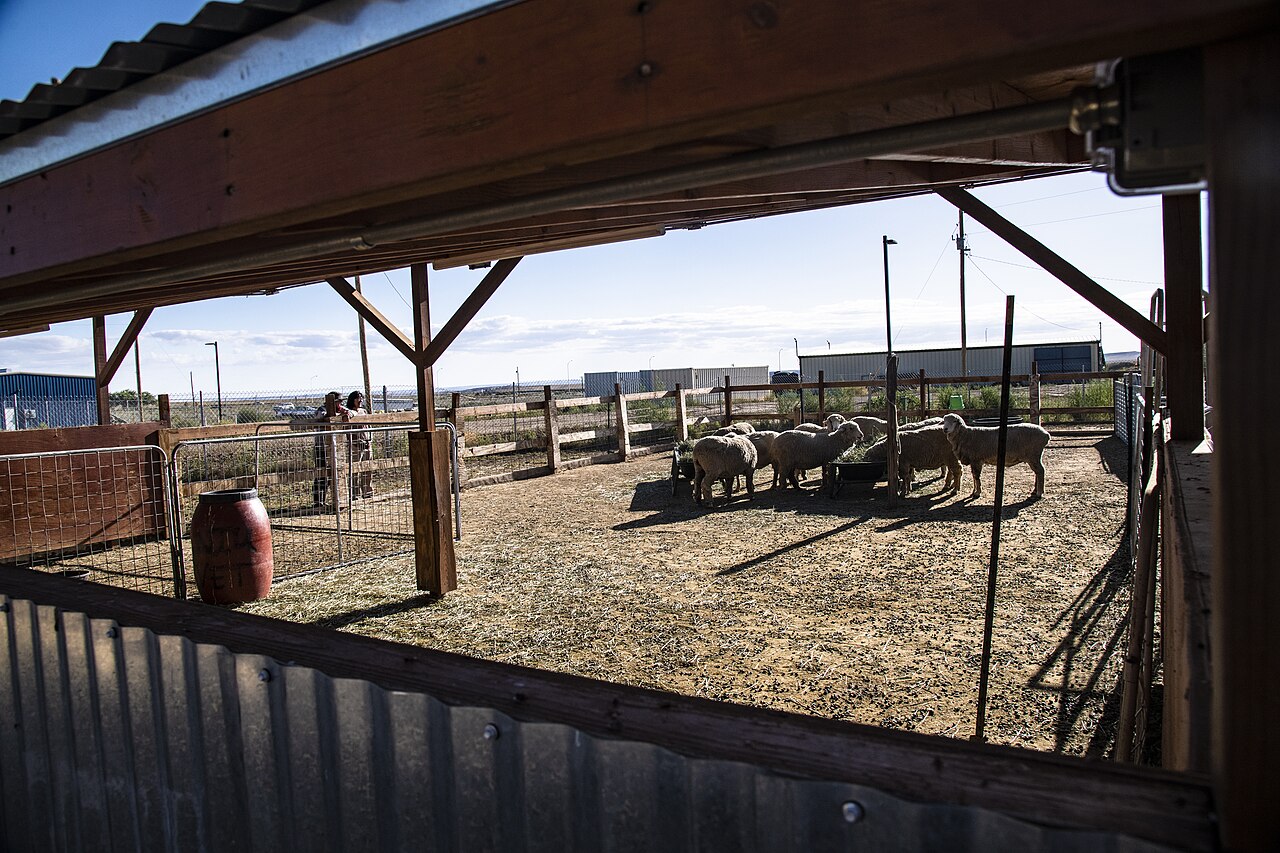 Navajo Tech U Education and Research for Animal Care and Human Health (20190909-OPPE-LSC-0295)
