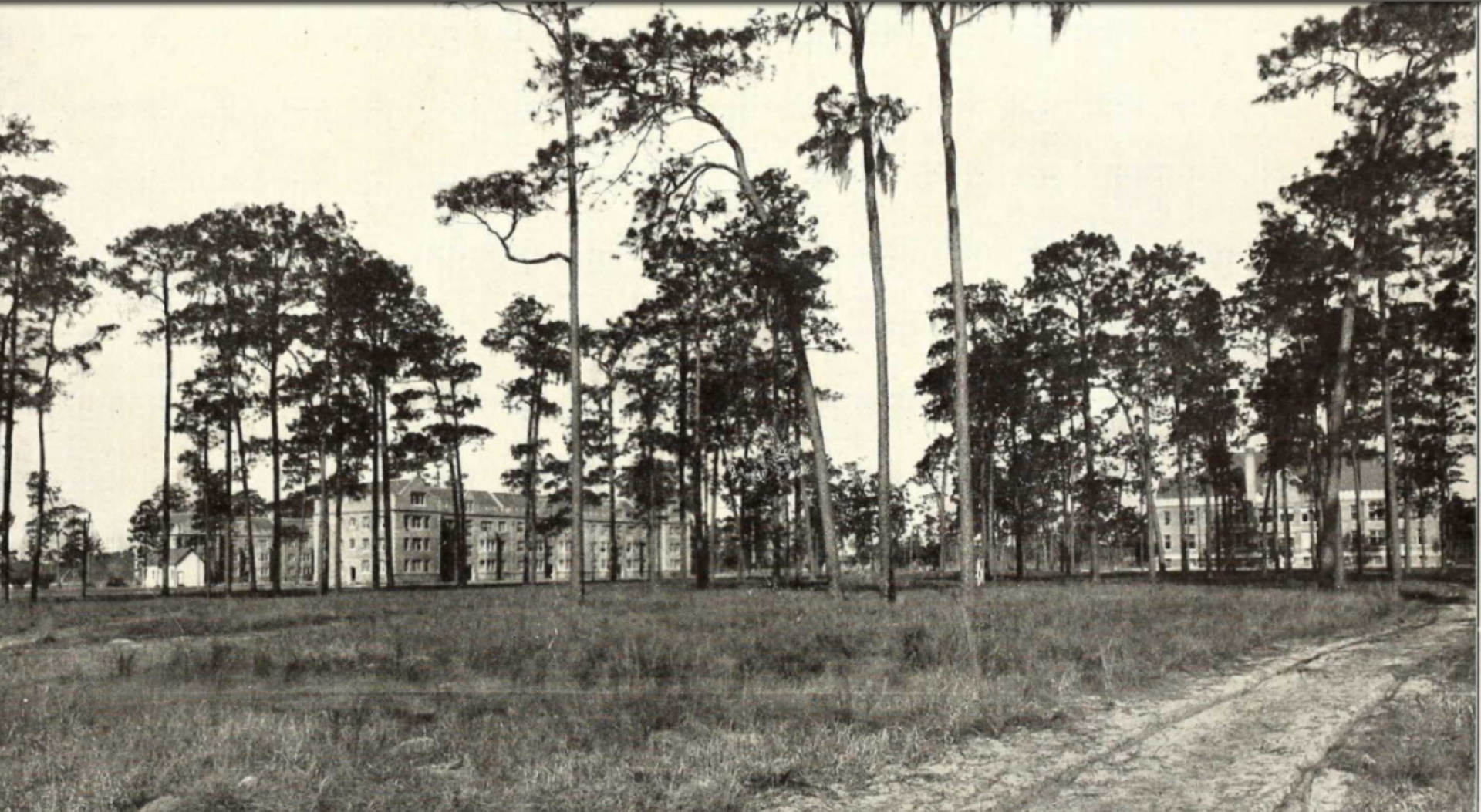 1911 University of Florida campus view.png