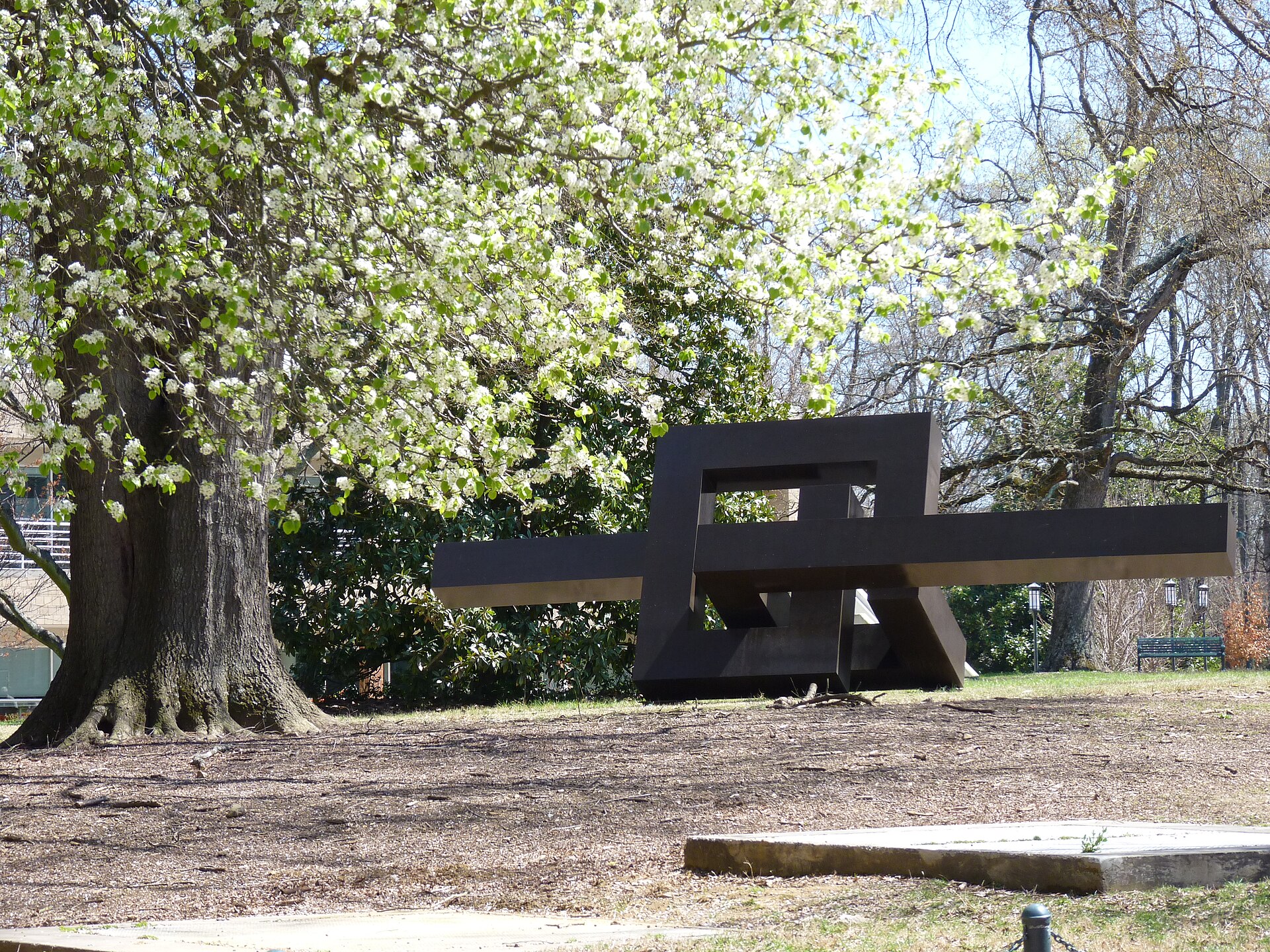 UNC Charlotte - 8617227589.jpg